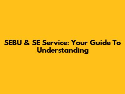 SEBU & SE Service: Your Guide To Understanding