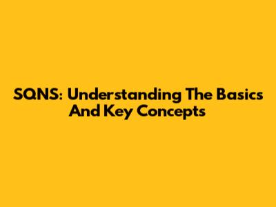 SQNS: Understanding The Basics And Key Concepts