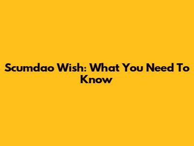Scumdao Wish: What You Need To Know