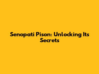 Senopati Pison: Unlocking Its Secrets