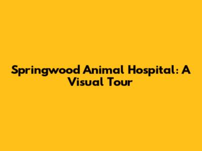 Springwood Animal Hospital: A Visual Tour