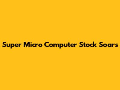Super Micro Computer Stock Soars