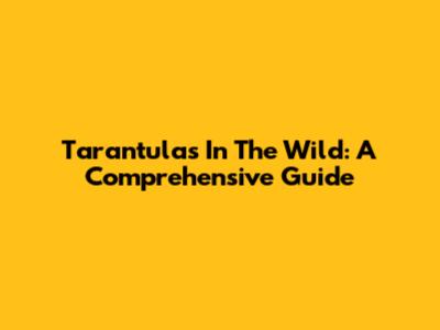 Tarantulas In The Wild: A Comprehensive Guide