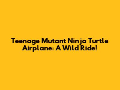 Teenage Mutant Ninja Turtle Airplane: A Wild Ride!