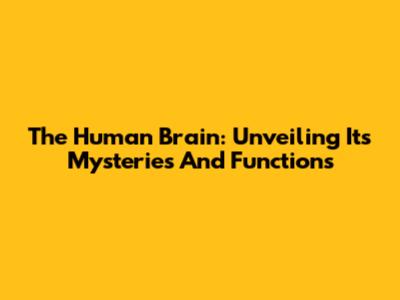 The Human Brain: Unveiling Its Mysteries And Functions
