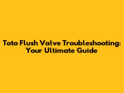 Toto Flush Valve Troubleshooting: Your Ultimate Guide