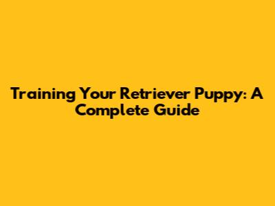 Training Your Retriever Puppy: A Complete Guide