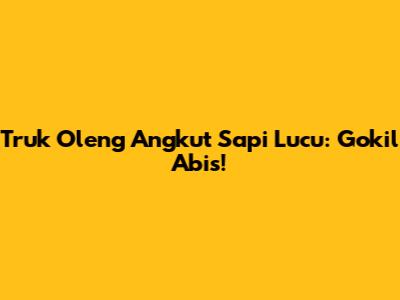 Truk Oleng Angkut Sapi Lucu: Gokil Abis!