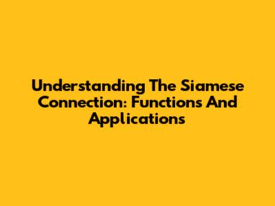 Understanding The Siamese Connection: Functions And Applications