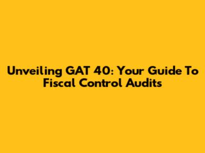 Unveiling GAT 40: Your Guide To Fiscal Control Audits