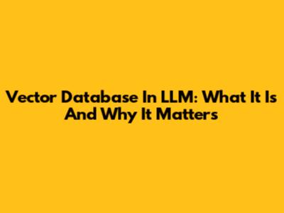 Vector Database In LLM: What It Is And Why It Matters