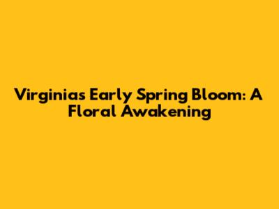Virginia's Early Spring Bloom: A Floral Awakening