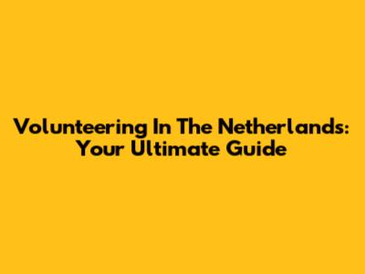 Volunteering In The Netherlands: Your Ultimate Guide