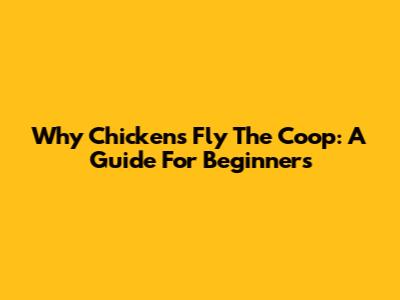 Why Chickens Fly The Coop: A Guide For Beginners