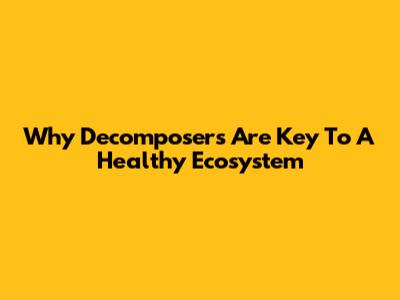 Why Decomposers Are Key To A Healthy Ecosystem