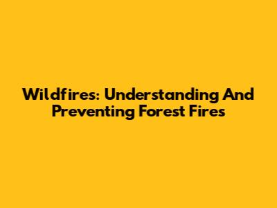 Wildfires: Understanding And Preventing Forest Fires
