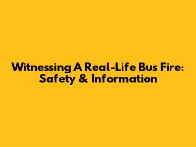 Witnessing A Real-Life Bus Fire: Safety & Information