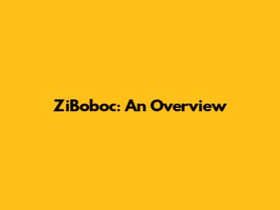 ZiBoboc: An Overview