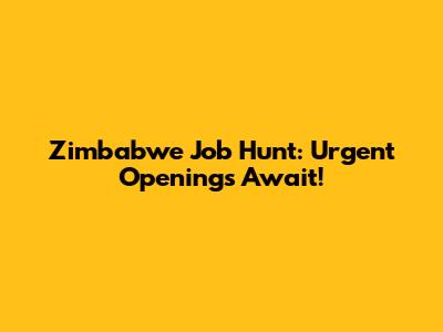 Zimbabwe Job Hunt: Urgent Openings Await!